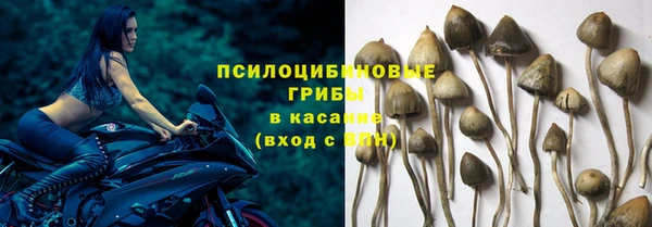 кристаллы Бородино