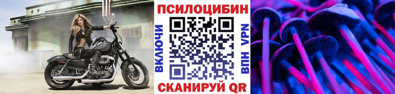 купить наркотик  Шахунья  Псилоцибиновые грибы MAGIC MUSHROOMS 
